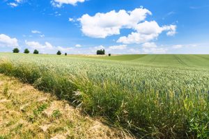 blau, fahrt, reisen, agrar, landwirtschaftlich
